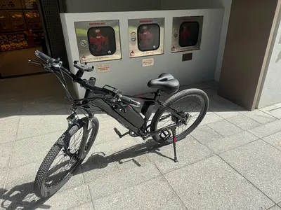 Electric bike