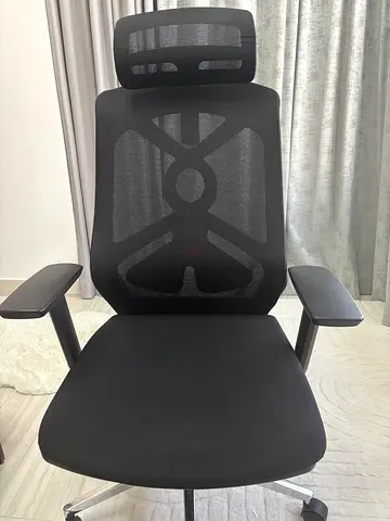 Ergonomic Mesh Office Chair with Headrest - Black