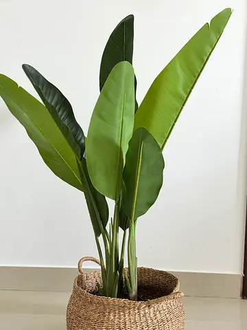 Artificial plant