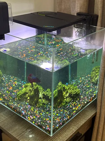Floating fish tank