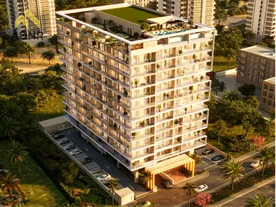 Cash Offer | Best Price | High Quialty