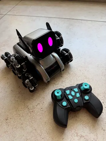 The remote control toy. It works.