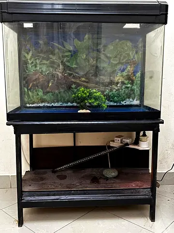 Used Aquarium Tank with Stand and Decorative Background with light and accessories