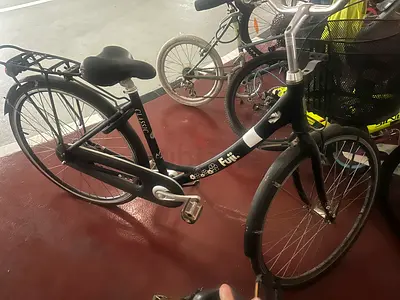 Classic Dutch-style Ladies City Bike — Single-Speed Commuter, Good Condition