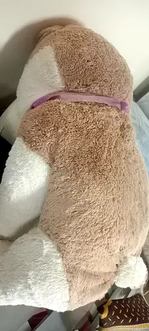 ابوظبى الوثبة الرزين 2