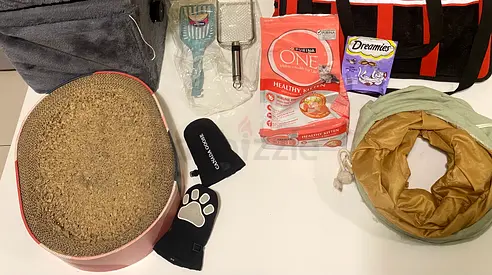 Assorted Cat Supplies Kit — scratch Box, Food, Toys, Accessories