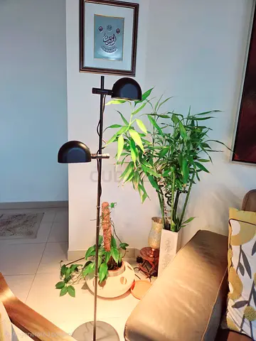 Floor lamp