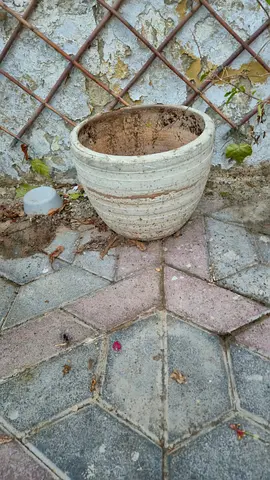 Large Outdoor Ceramic Plant Pot / Garden Planter