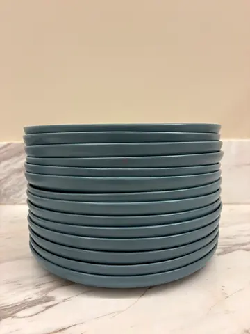 West Elm ceramic dinner plate (set item) - gently used