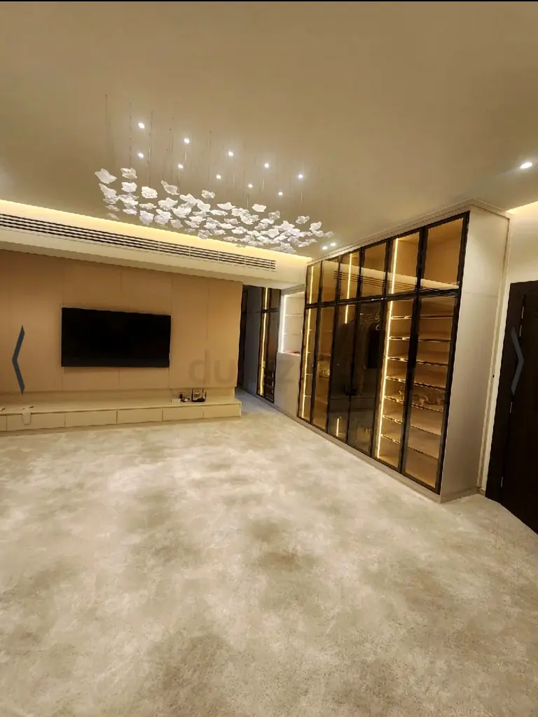 DPV_View_Image_0