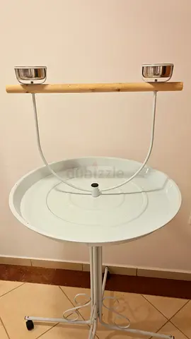 Bird stand