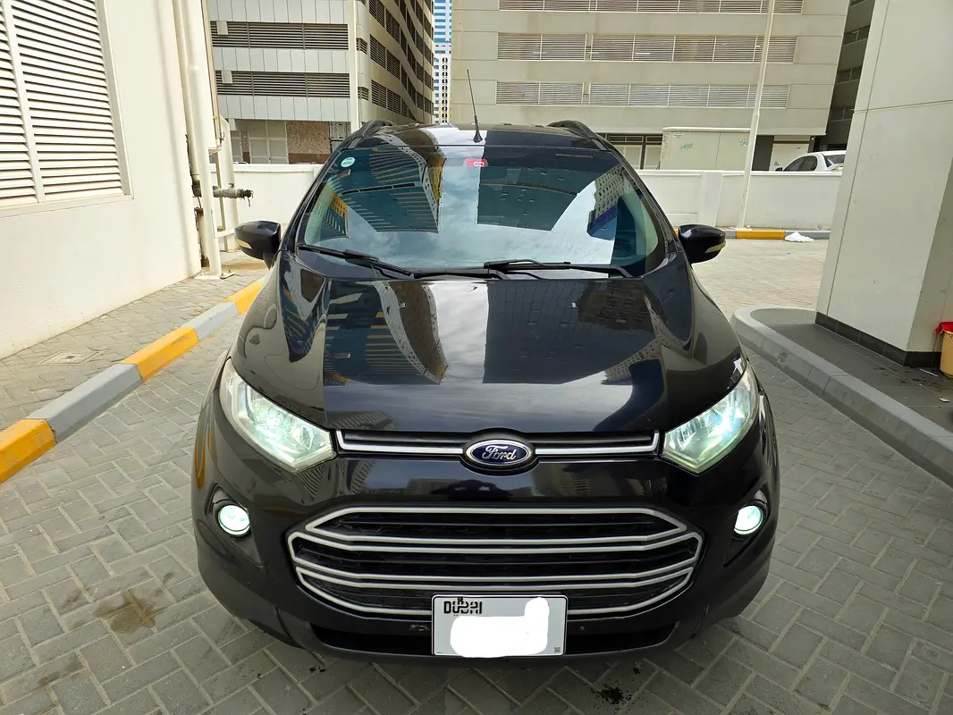 Ford Ecosport 2015 — photo 1 of 18