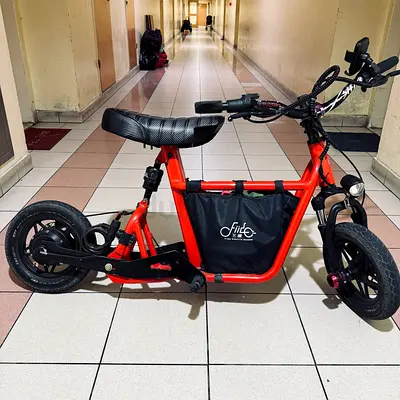 Fiido q1s 36v motor, long extender, Shikra handle