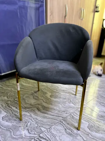 Grey Velvet Accent Chair with Gold Legs - Good Condition