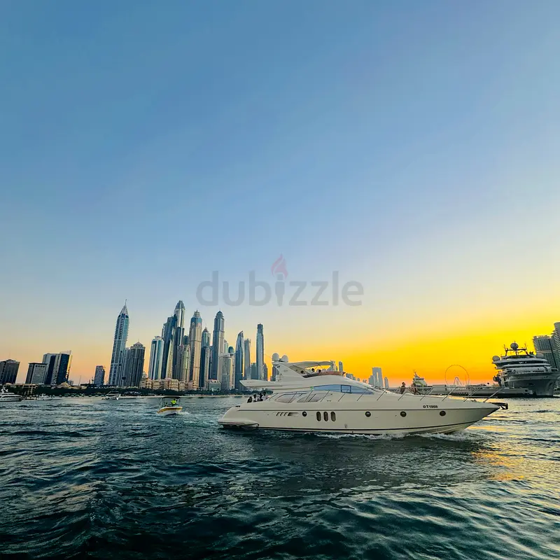 DPV_View_Image_2