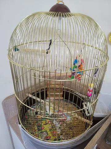 Bird cage with perch and toys - used
