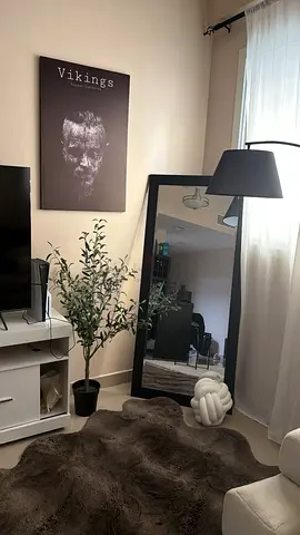 Black mirror