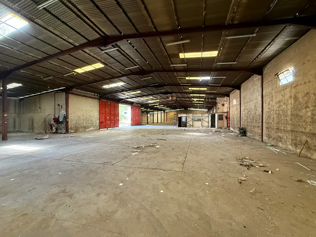 gallery-image