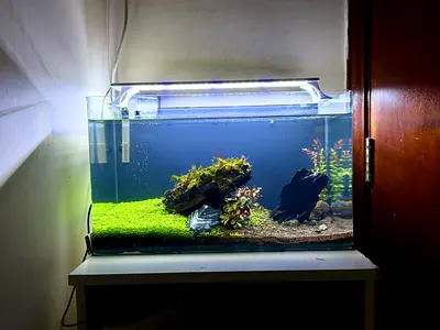 25-30L Planted Aquarium Tank with LED Light, Filter and Hardscape