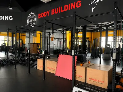 Full Gym Rig with Squat Racks and CrossFit Boxes – Used Setup