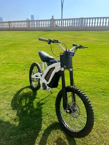 Surron light bee x