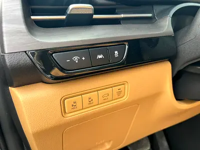 Kia Carnival EX, миниатюра 9