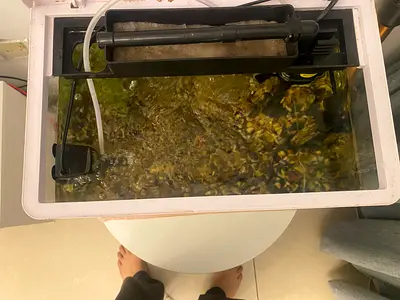 Fish tank