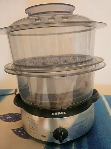 Electric steam cuisine