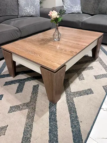 Modern 3 seater and 2 seater Sofa with Low Wooden Coffee Table - Light Oak Finish