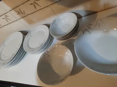 20 pieces  set of brand new dishes  set