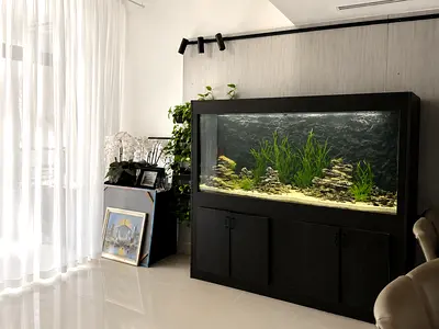 Large Black Wooden Aquarium Cabinet with Built-in Fish Tank