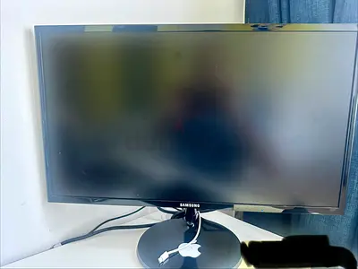 Computer Monitor - LS24F350FHMXUE