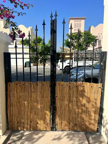 Iron gate and fence