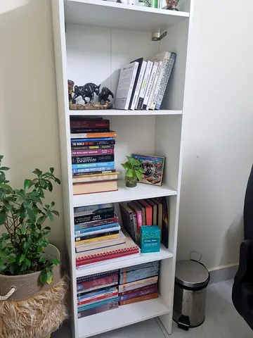 Ikea book shelf