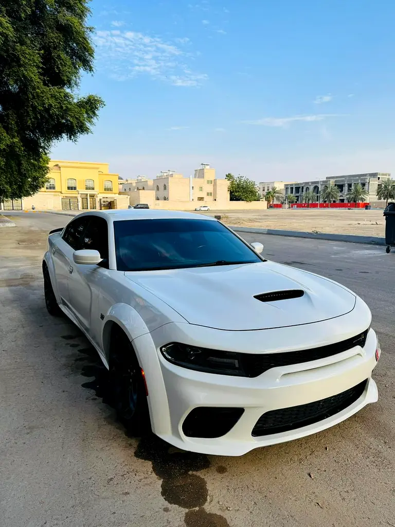 Dodge Charger 2020 — photo 1 of 16