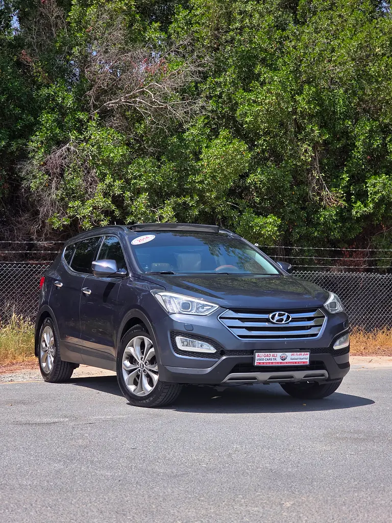 Hyundai Santa Fe 2014 — photo 1 of 20