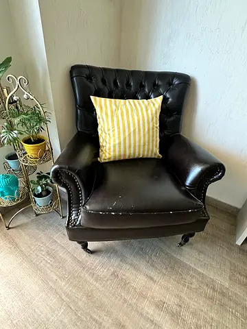 Classic Lounge Couch for Sale