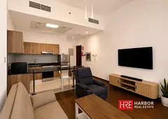 Fully Furnished | Ground Floor | Large Terrace