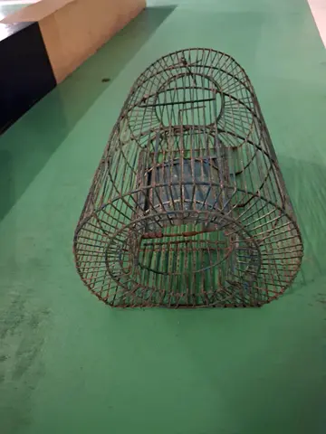 FREE - rat trap (catch and release)