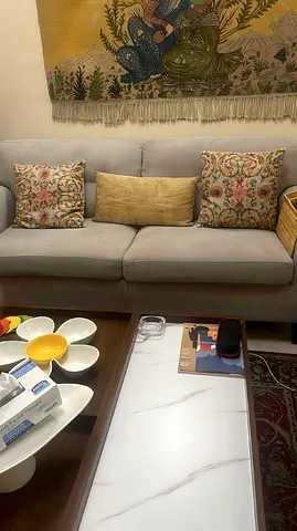 2 Grey aesthetic couches 🛋️