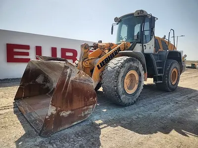 2011 Liebherr L550
