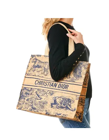 Cd dior vip tote
