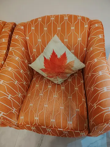 Autumn Accent Sofas with cushion