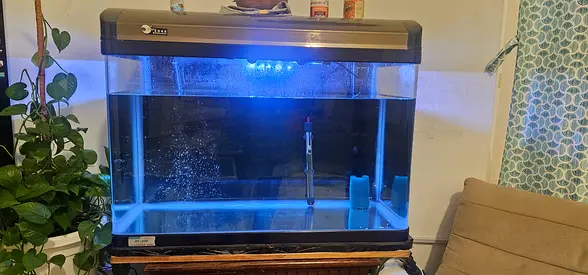Fish tank