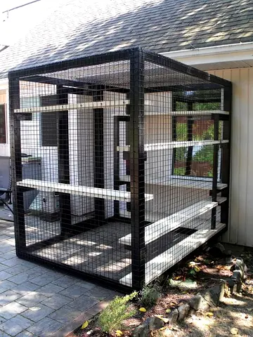Large Outdoor Multi-Level Aviary/Cat Enclosure with Perches