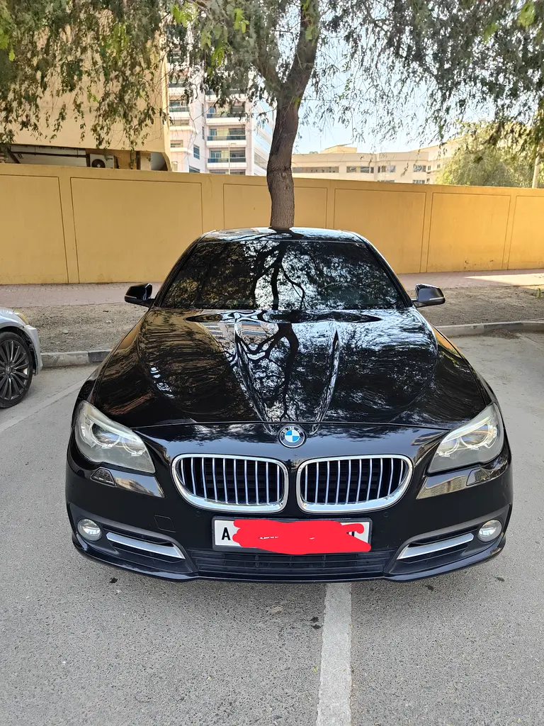 BMW 5-Series 2014 — photo 1 of 10