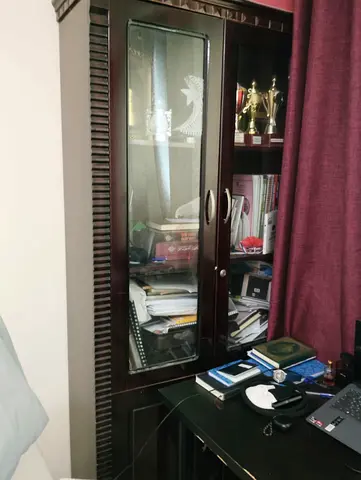 Dark Wooden Glass-Front Cabinet / Bookcase - Good Condition