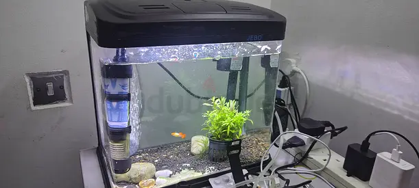 Small aquarium