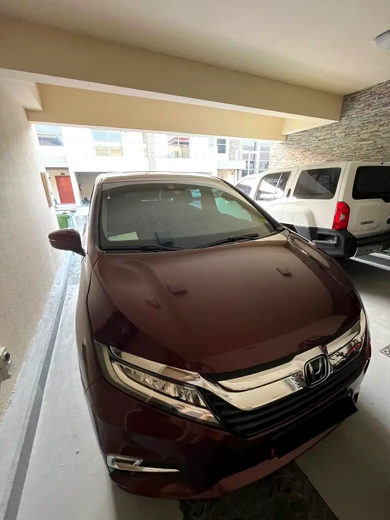 Honda Odyssey 2019 — photo 1 of 5