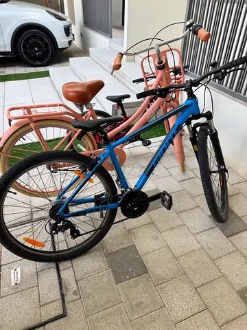 Delux Adam bike 26” apricot color
